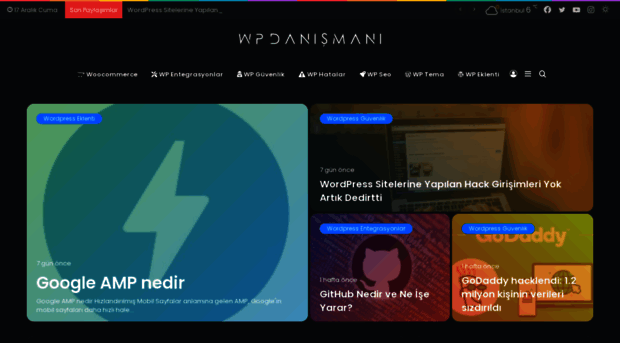 wordpressdanismani.com