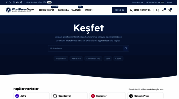 wordpressdepo.com