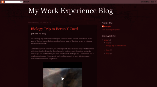 workexperienceblog.blogspot.com