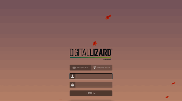 workflow.digitallizard.com