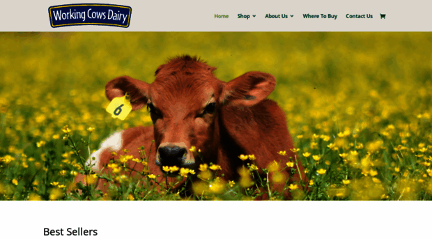 workingcowsdairy.com