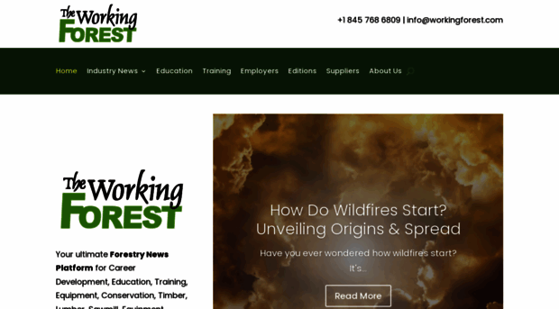 workingforest.com