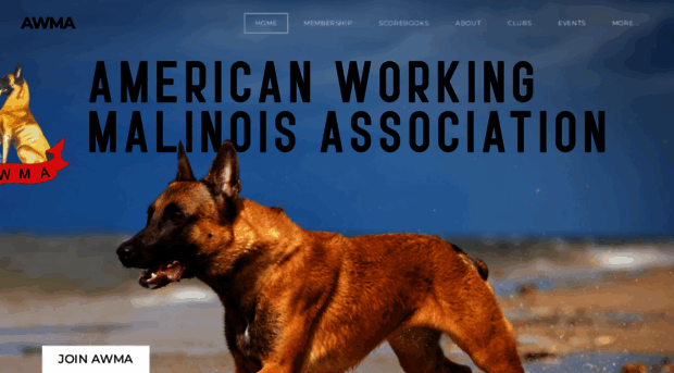 workingmalinois.org