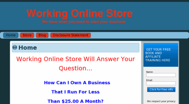 workingonlinestore.com