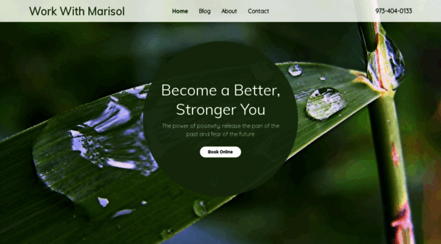 workwithmarisol.com