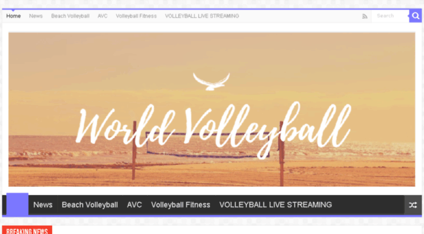 world-volleyball.com