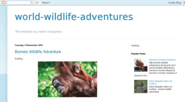 world-wildlife-adventures.blogspot.com