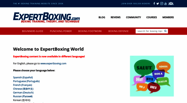 world.expertboxing.com