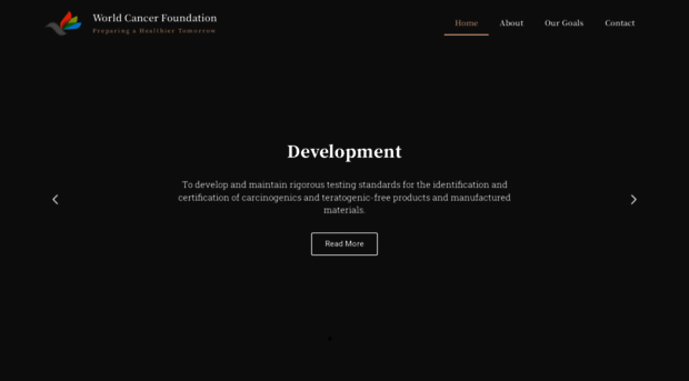 worldcancerfoundation.org