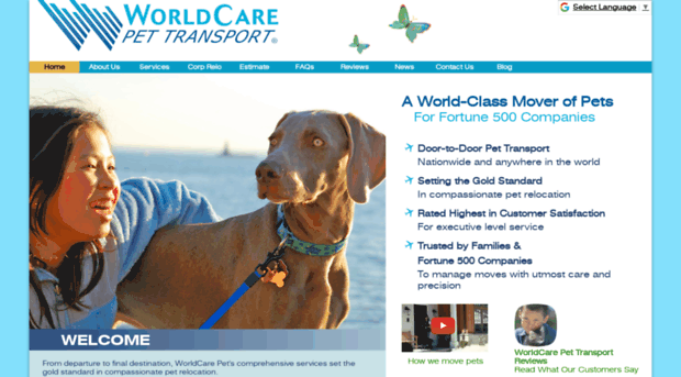 worldcarepet.com