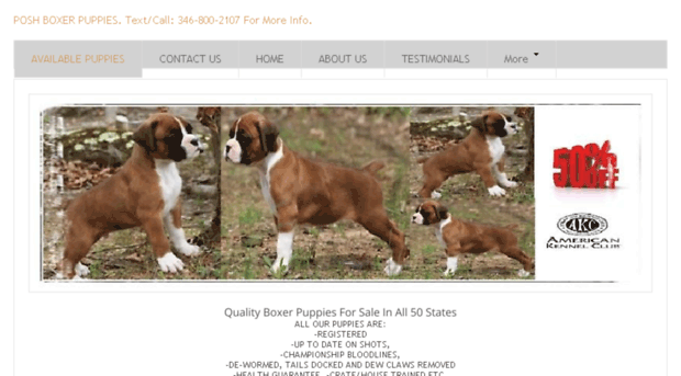 worldclassboxerpuppies.com