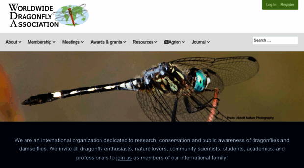 worlddragonfly.org