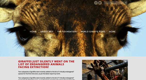 worldgiraffefoundation.org