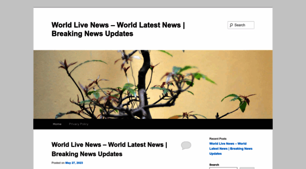 worldlive.news