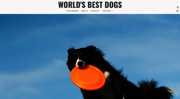 worldsbestdogs.com