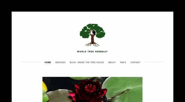 worldtreeherbals.com