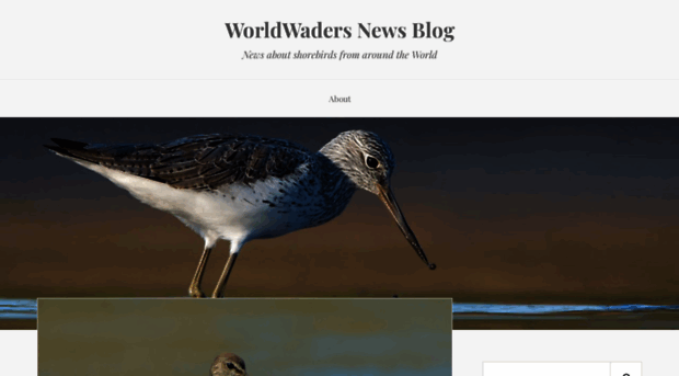 worldwaders.wordpress.com