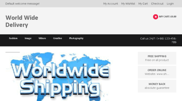worldwidedelivery.in