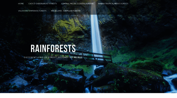 worldwiderainforests.weebly.com