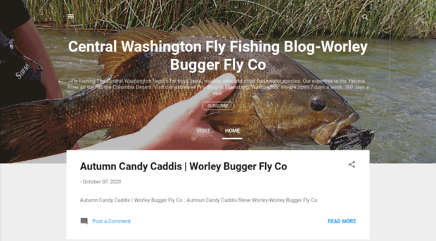 worleybuggerflycoflyfishingwa.blogspot.com