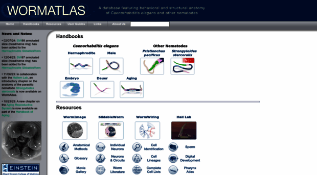 wormatlas.org