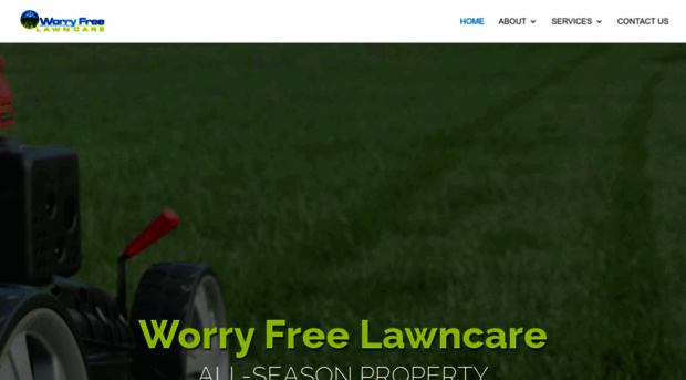 worryfreelawnmn.com