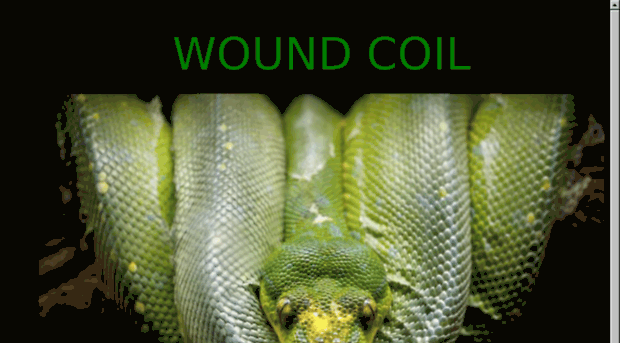 woundcoil.com
