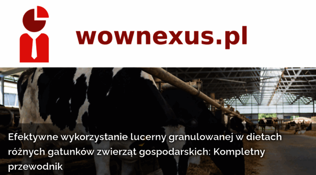 wownexus.pl