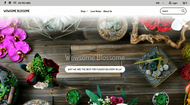 wowsomeblossome.com