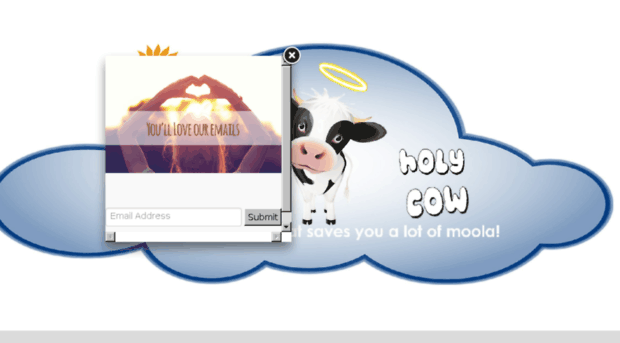 wowwowholycow.com