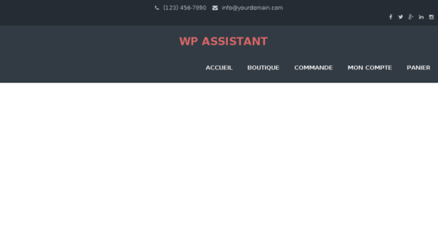 wp-assistant.com