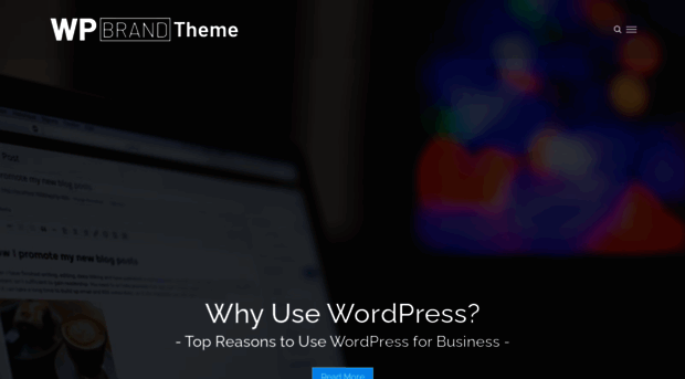 wp-brandtheme.com