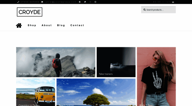 wp-skins.com