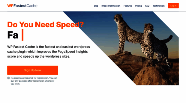 wpfastestcache.com