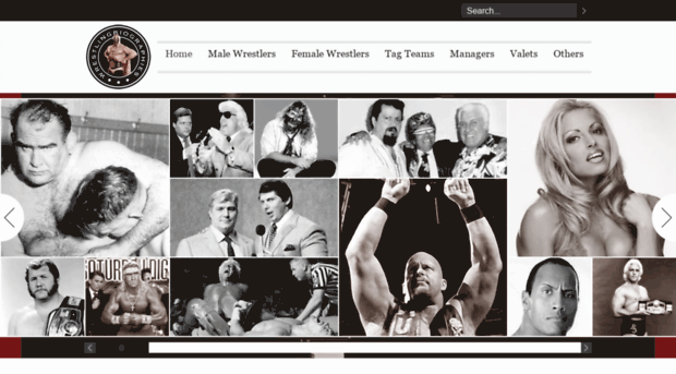 wrestlingbiographies.com