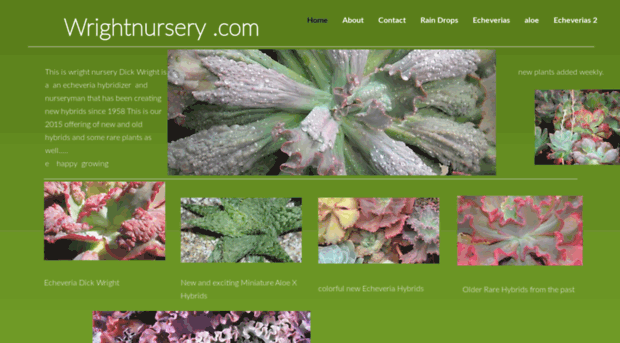 wrightnursery.com