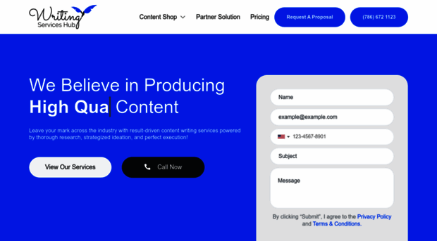 writingserviceshub.com