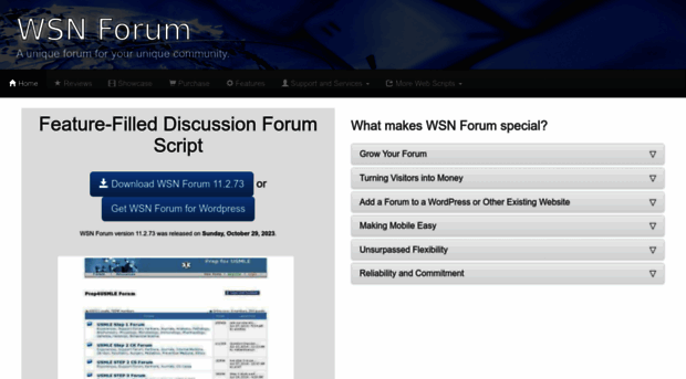 wsnforum.com