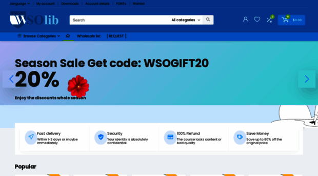 wsolib.store