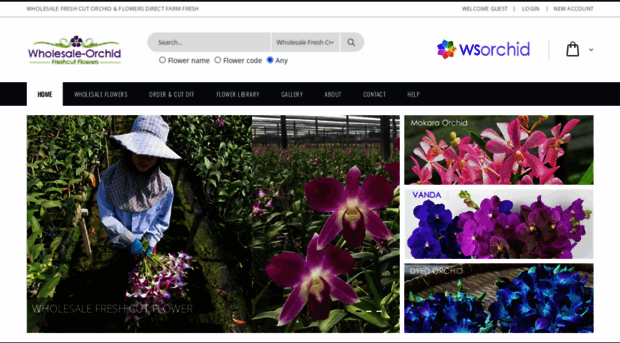 wsorchid.com