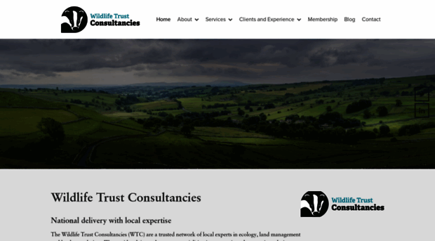 wtconsultancies.co.uk