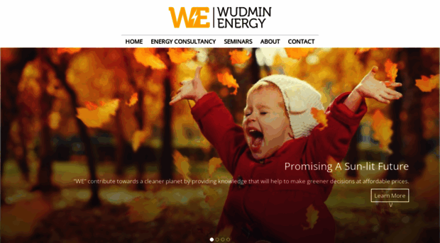 wudmin.com