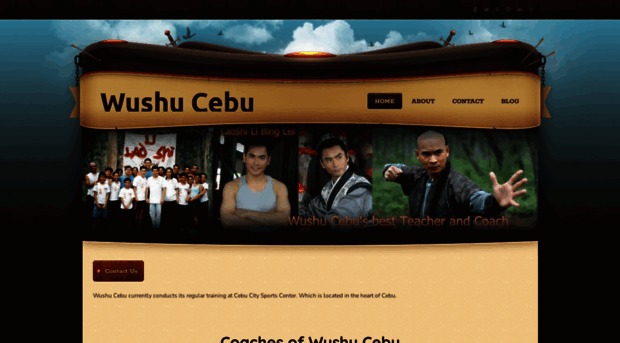 wushu-cebu.weebly.com