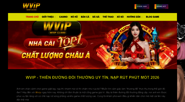 wvip.cloud