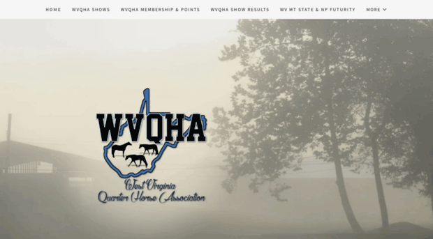 wvqha.net