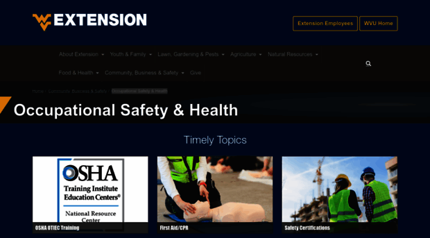 wvusafetyandhealth.org