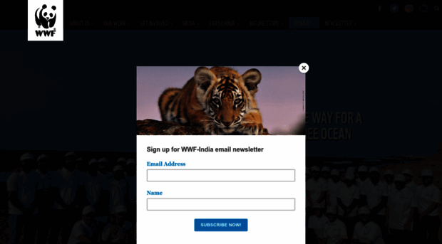 wwf.co.in