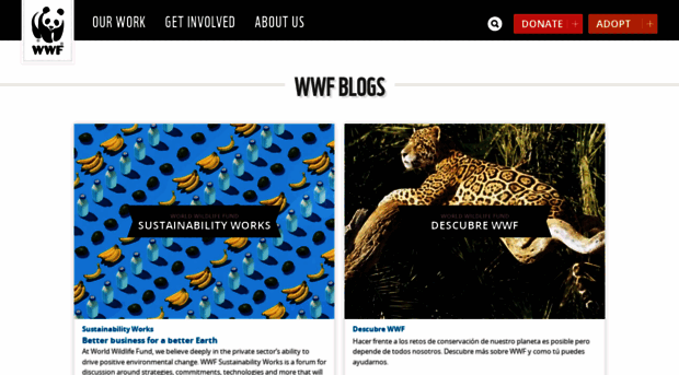 wwfblogs.org