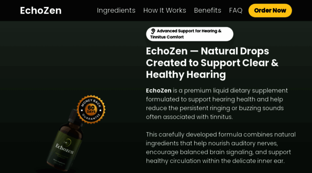 www-echozen.com