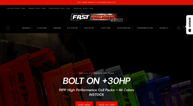 www-fasthemis-com.myshopify.com